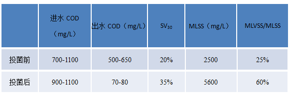 COD去除菌處理效果圖