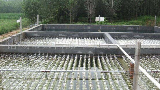 養殖廢水COD處理