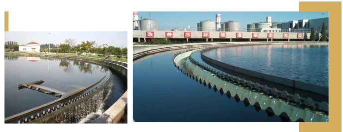 初沉池與二沉池