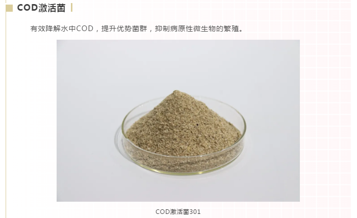 長隆科技庫巴魯COD激活菌