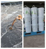 浙江某印染廢水COD處理案