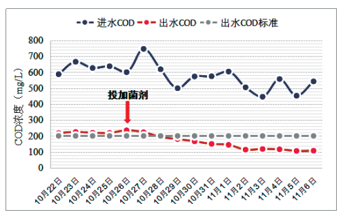 印染廢水COD超標處理