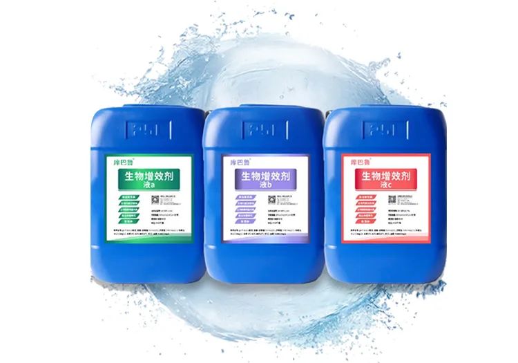 庫(kù)巴魯團(tuán)隊(duì)研發(fā)的生物增效劑(菌)